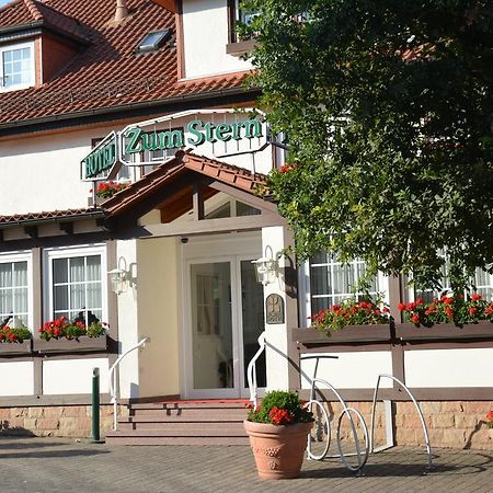 Parkhotel Zum Stern Oberaula Ngoại thất bức ảnh